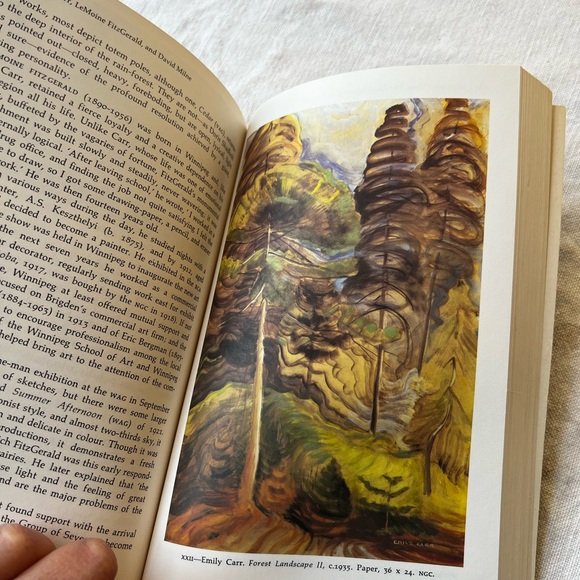 Vintage 1973-A Concise History of Canadian Painting by Dennis Reid - Green Cover - Picture 5 of 16